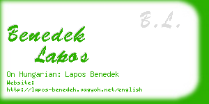 benedek lapos business card